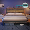 Greenstell LED Bed Frame with Wood Storage Headboard, Charging Station and RGB LED Lights, Stable Metal Platform with Under Bed Storage, Easy Assembly, No Box Spring Needed, Noise Free for Bedroom